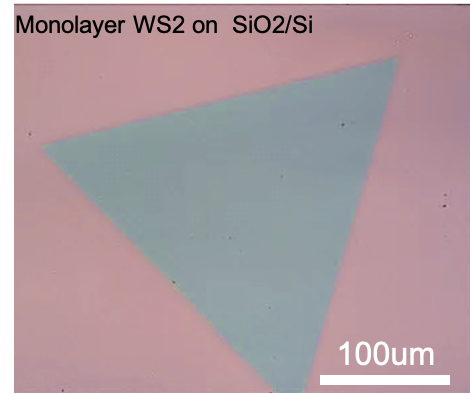 WS2 Flakes – MoS2, WS2, MoSe2, WSe2 and Heterostrucrures Wafers